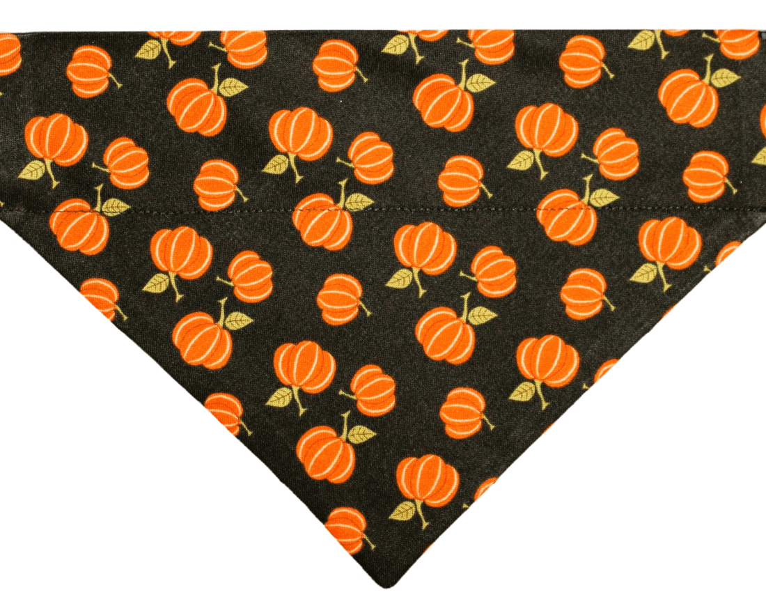 Black Pumpkin Patch Pet Bandana - Mutty Mornings