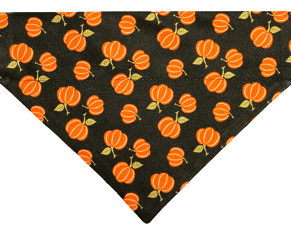 Black Pumpkin Patch Pet Bandana - Mutty Mornings