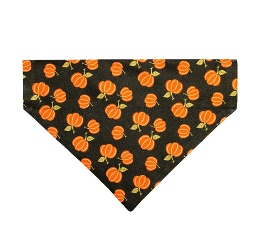 Black Pumpkin Pet Bandana - Mutty Mornings