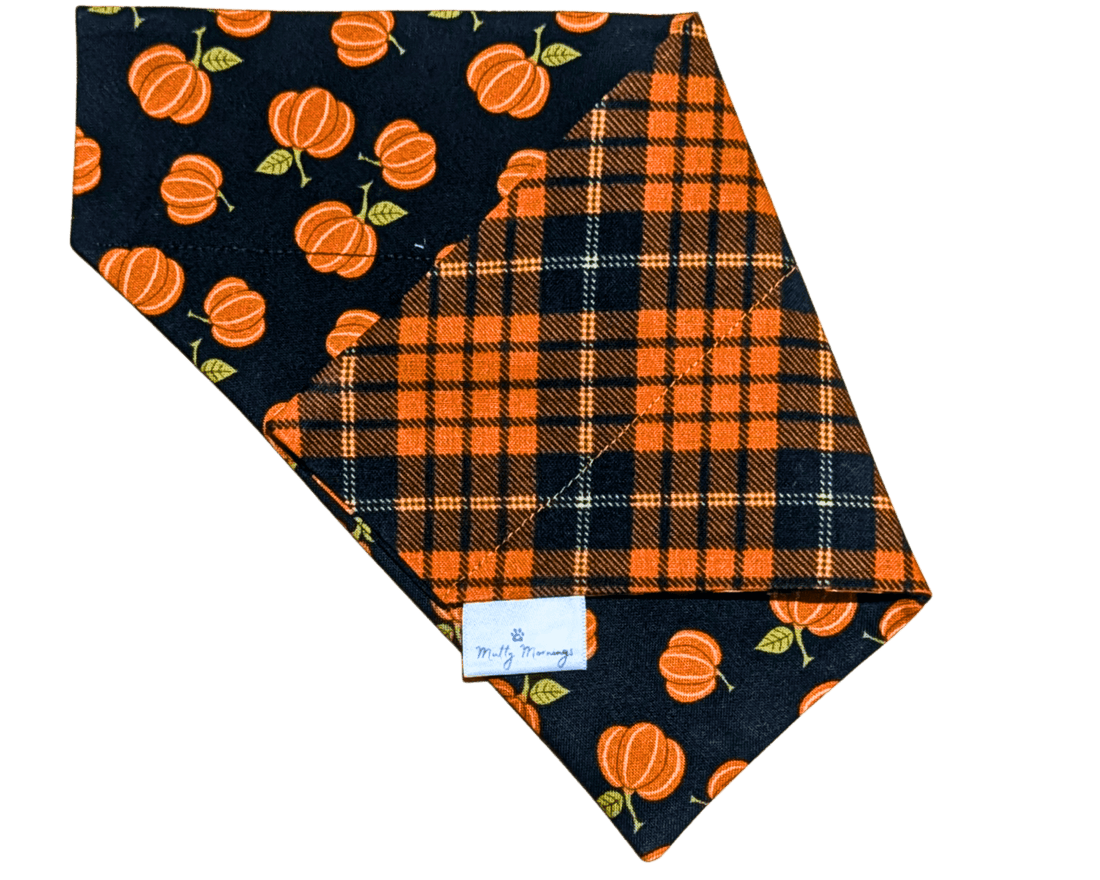 Black Pumpkin Plaid Reversible Pet Bandana - Mutty Mornings