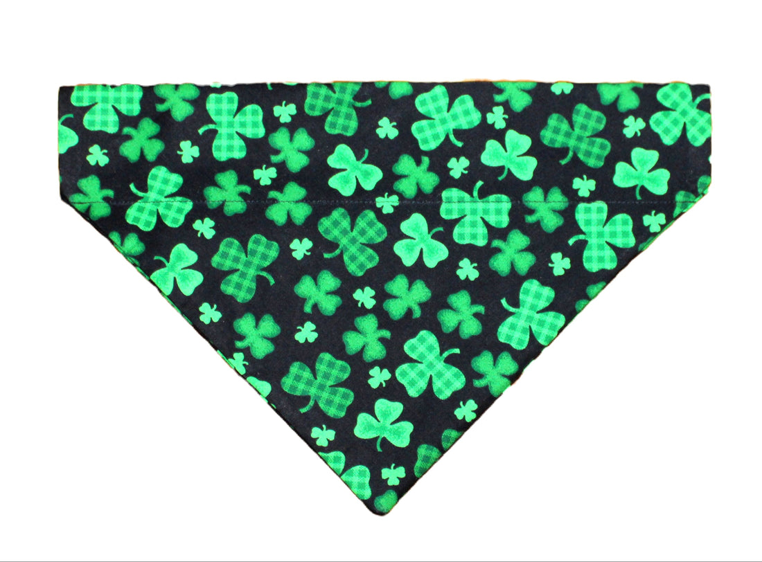 Black Shamrocks Pet Bandana - Mutty Mornings