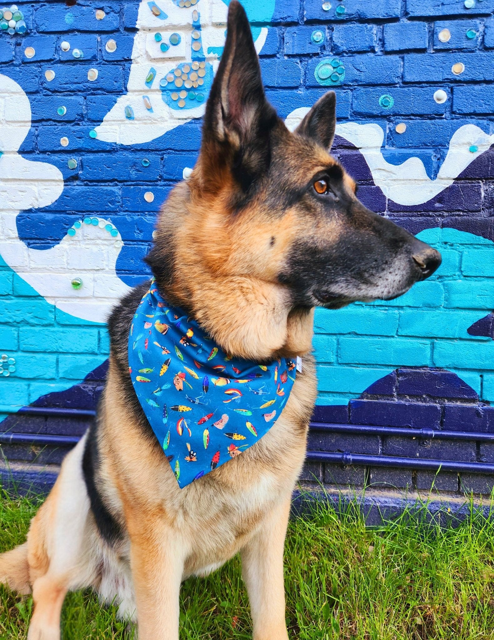 Blue Fishing Lures Pet Bandana - Mutty Mornings