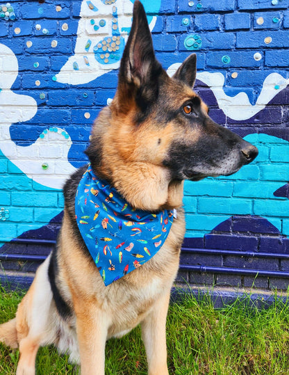 Blue Fishing Lures Pet Bandana - Mutty Mornings