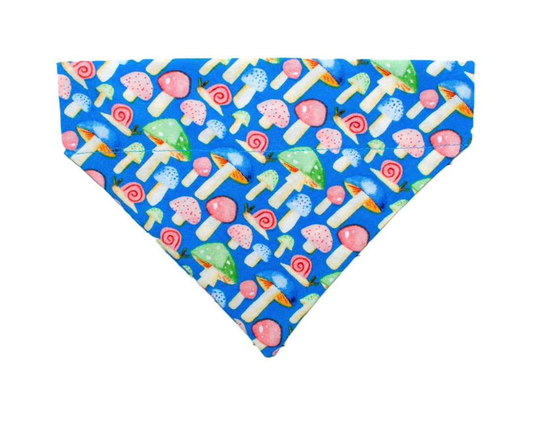 Blue Mushrooms Pet Bandana - Mutty Mornings