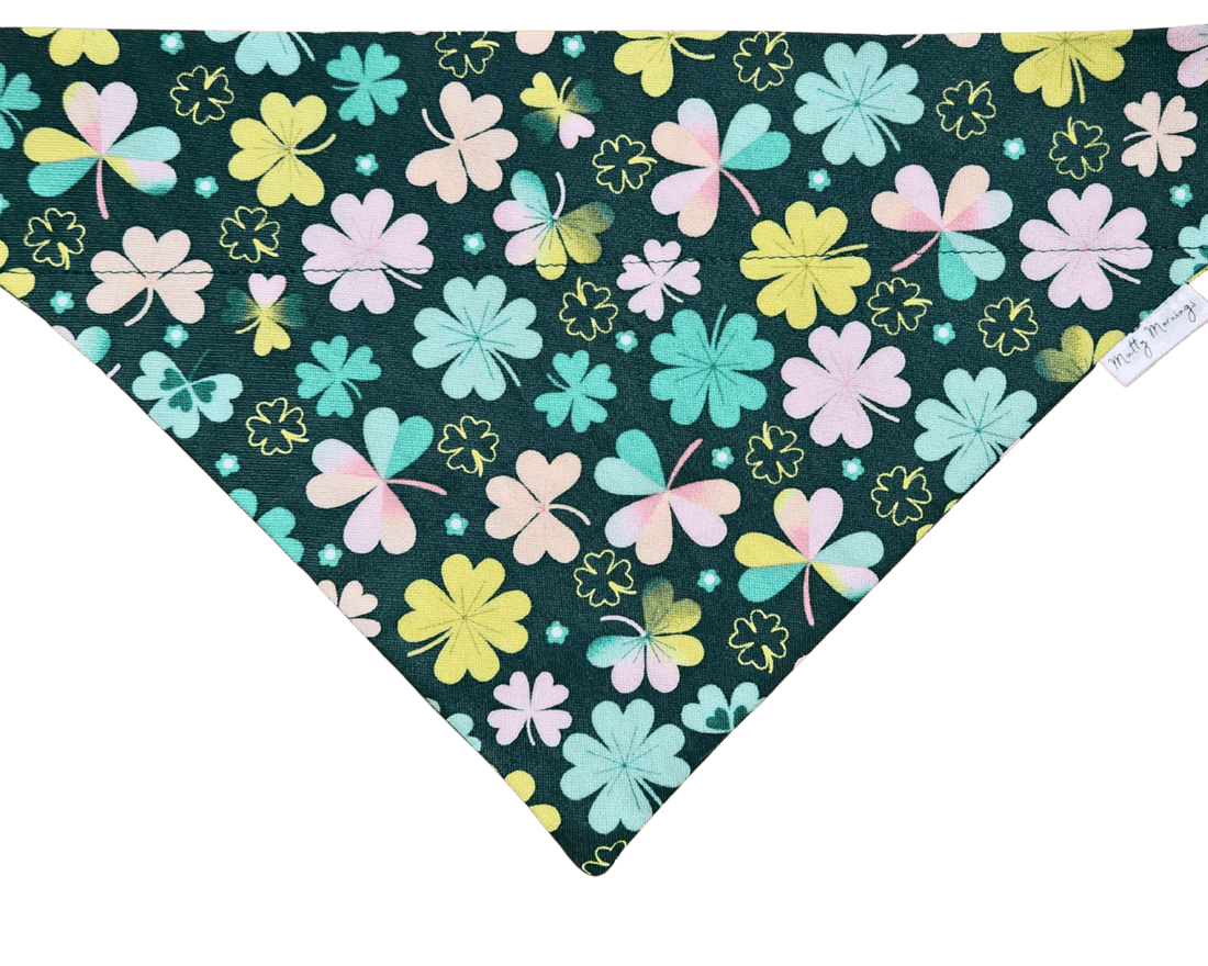 Blushing Clovers Pet Bandana - Mutty Mornings