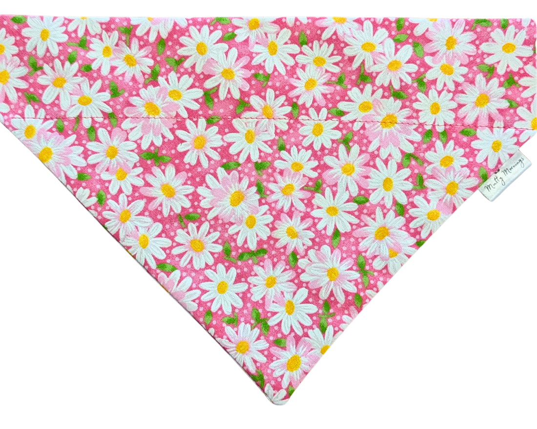 Blushing Daisies Pet Bandana - Mutty Mornings