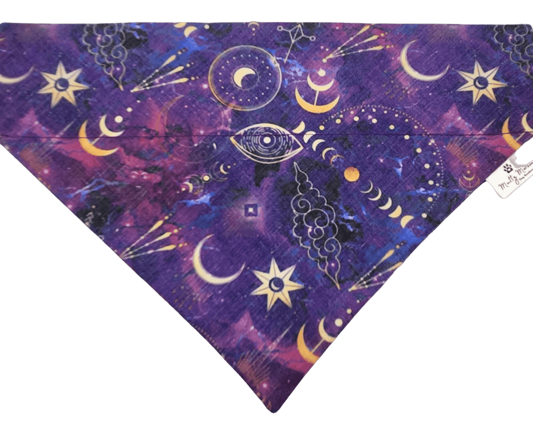 Casting Spells Bandana &amp; Headband Set - Mutty Mornings
