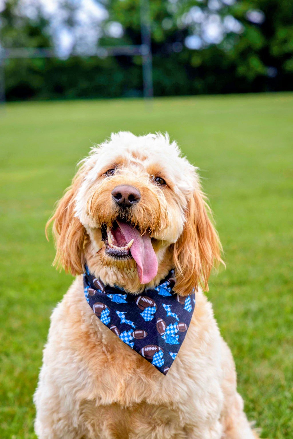 Checkered Lions Bandana &amp; Headband Set - Mutty Mornings