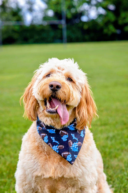 Checkered Lions Bandana &amp; Headband Set - Mutty Mornings