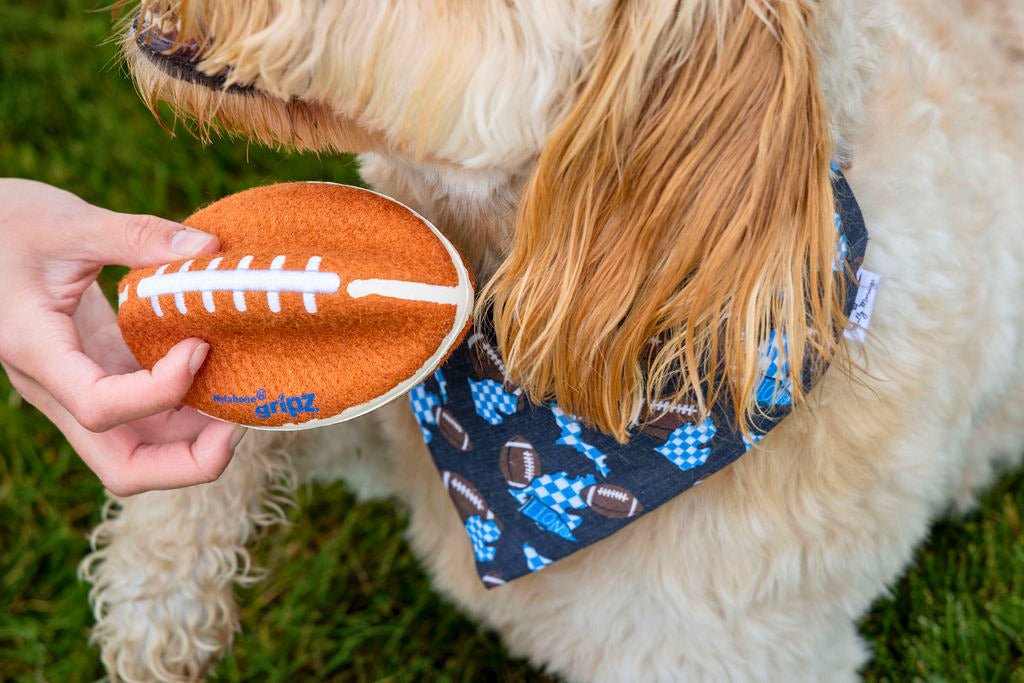 Checkered Lions Bandana &amp; Headband Set - Mutty Mornings