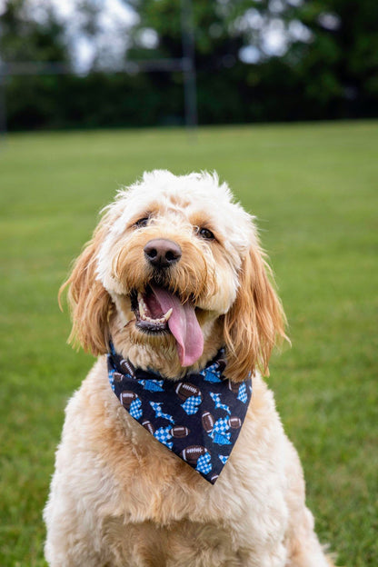Checkered Lions Pet Bandana - Mutty Mornings