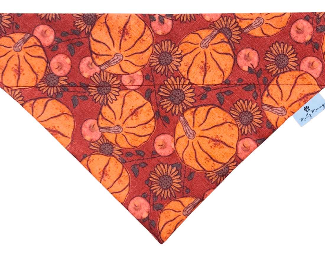 Cider Patch Pet Bandana - Mutty Mornings