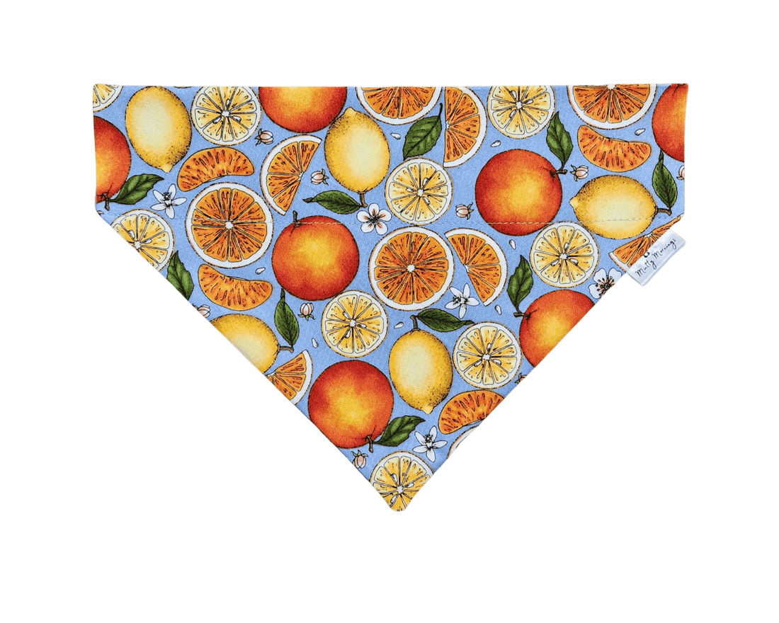 Citrus Splash Pet Bandana - Mutty Mornings