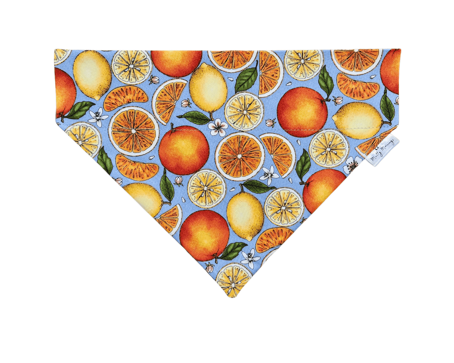 Citrus Splash Pet Bandana - Mutty Mornings