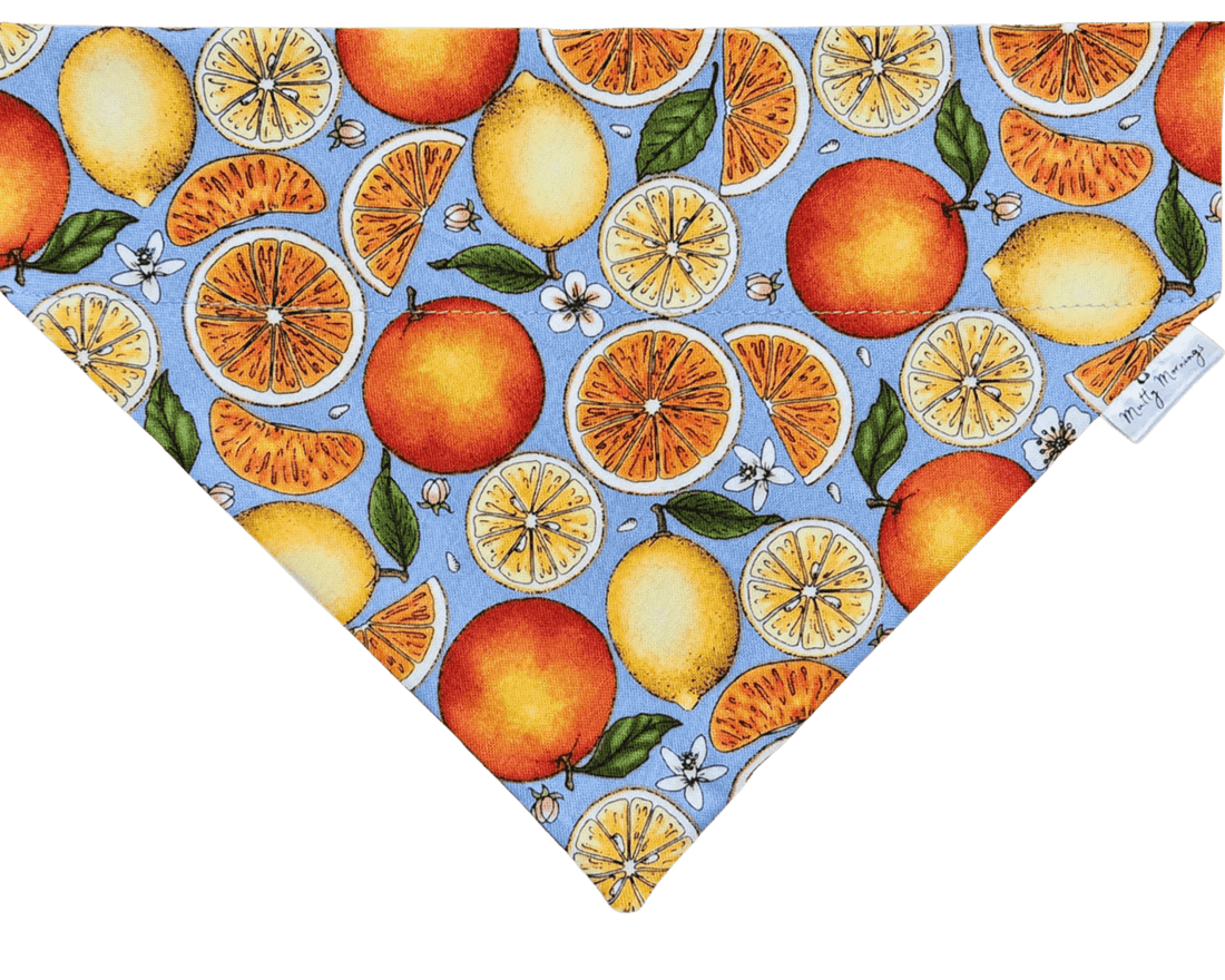 Citrus Splash Pet Bandana - Mutty Mornings