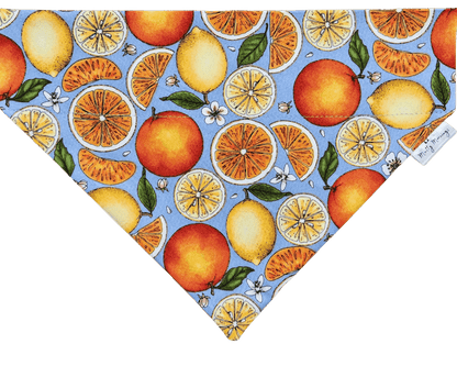 Citrus Splash Pet Bandana - Mutty Mornings
