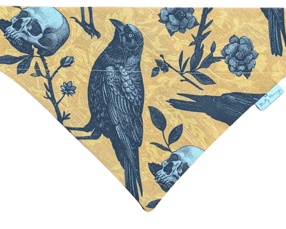 Crow&