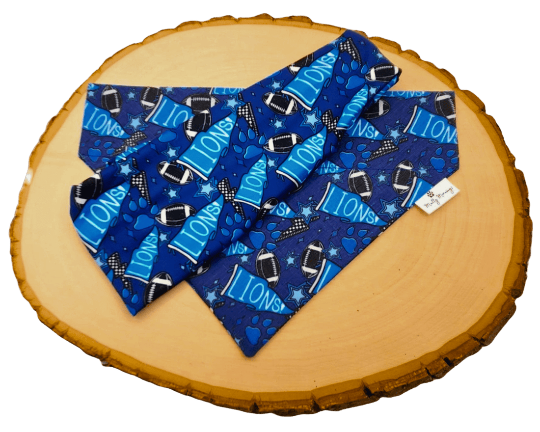 Detroit Lions Pendant Bandana &amp; Headband Set - Mutty Mornings