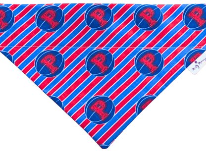 Detroit Pistons Stripe Pet Bandana - Mutty Mornings