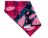 Detroit Red Wings Reversible Pet Bandana - Mutty Mornings