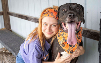 Detroit Tigers Bandana &amp; Headband Set - Mutty Mornings