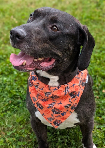 Detroit Tigers Pet Bandana - Mutty Mornings