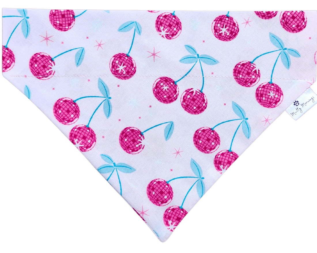 Disco Cherries Pet Bandana - Mutty Mornings