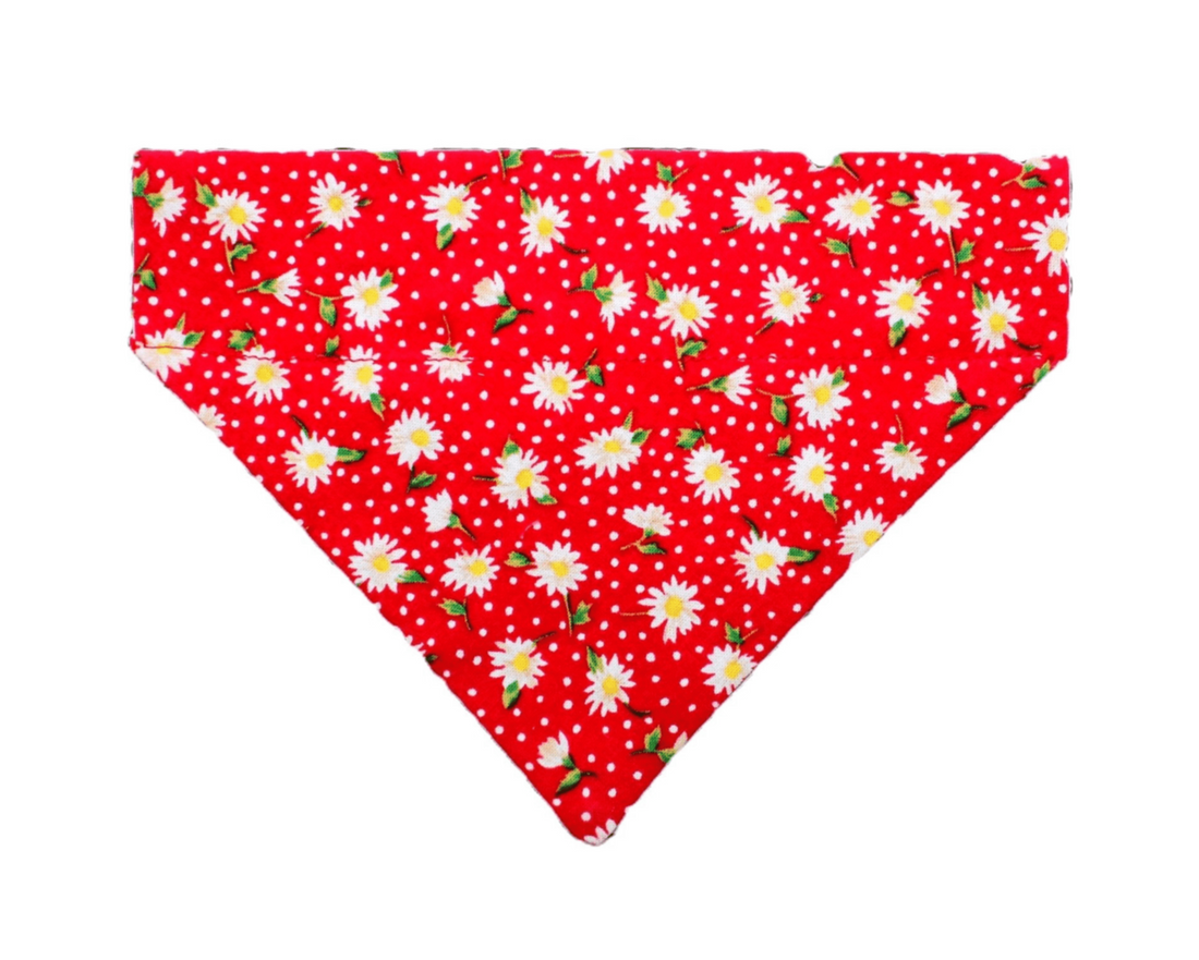 Dotty Daisy Pet Bandana - Mutty Mornings