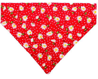 Dotty Daisy Pet Bandana - Mutty Mornings