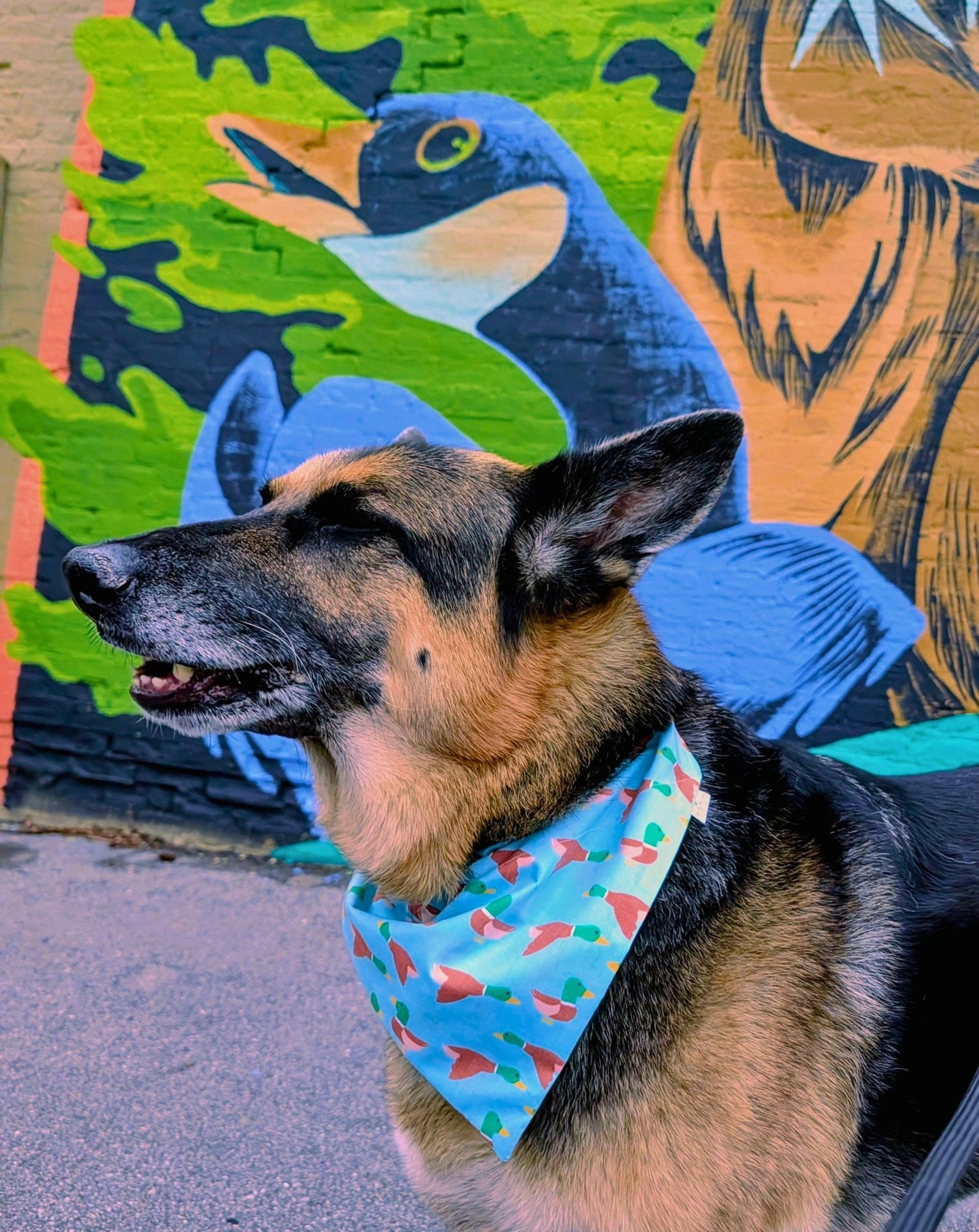 Duck Season Pet Bandana - Mutty Mornings