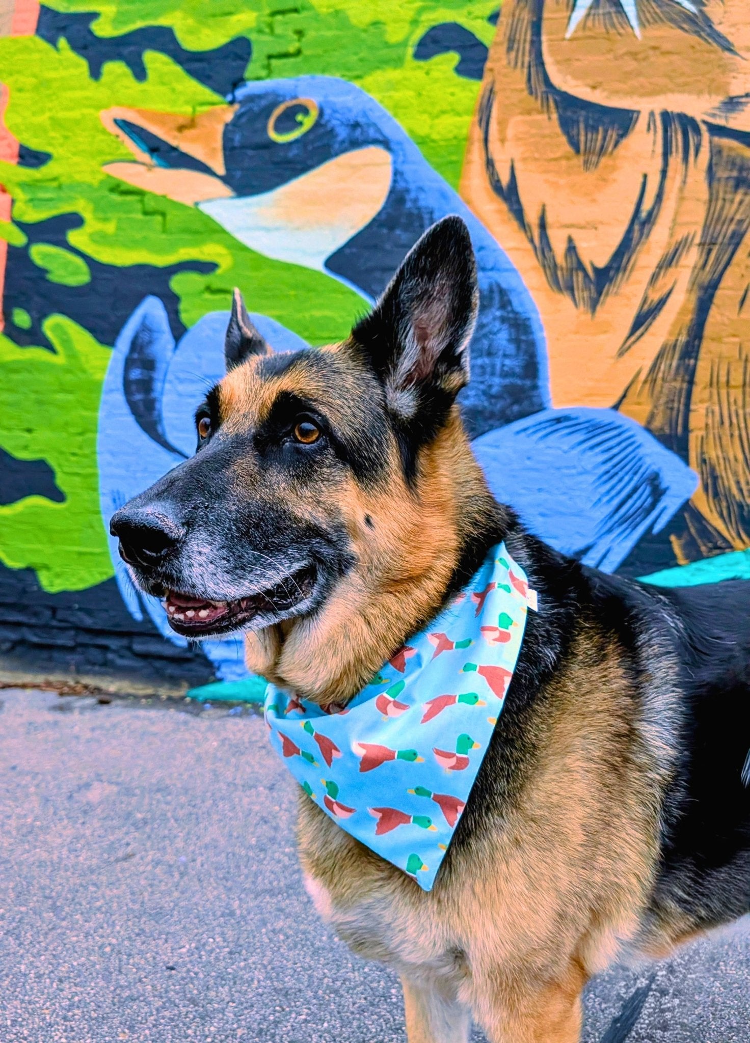 Duck Season Pet Bandana - Mutty Mornings