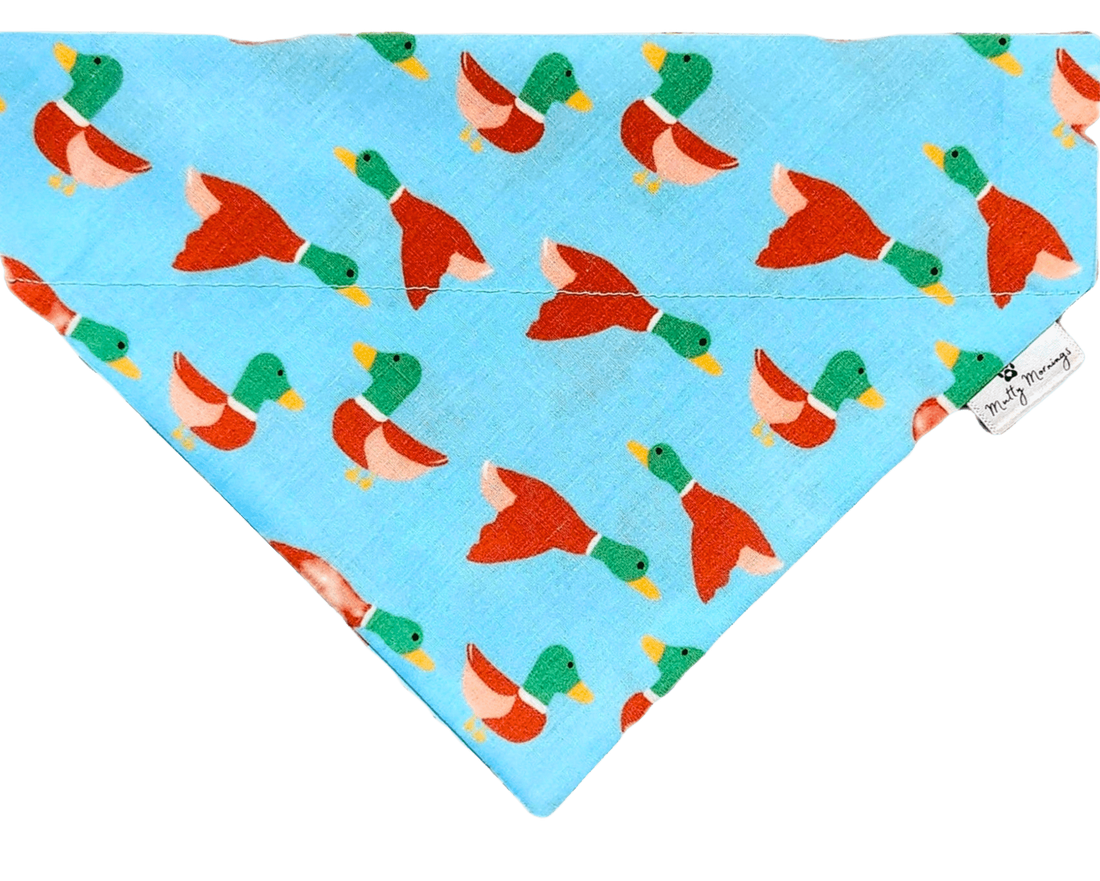 Duck Season Pet Bandana - Mutty Mornings