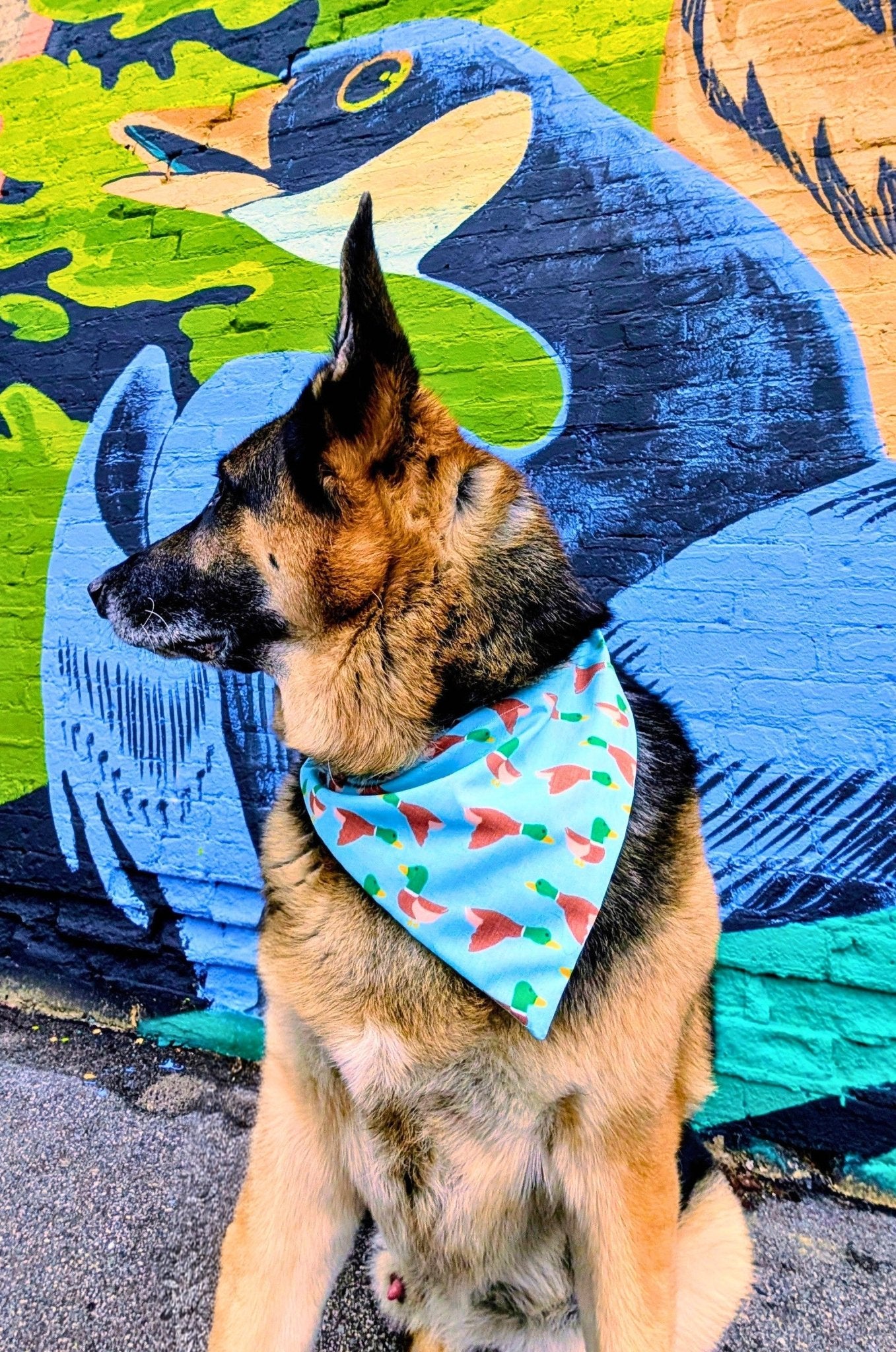 Duck Season Pet Bandana - Mutty Mornings
