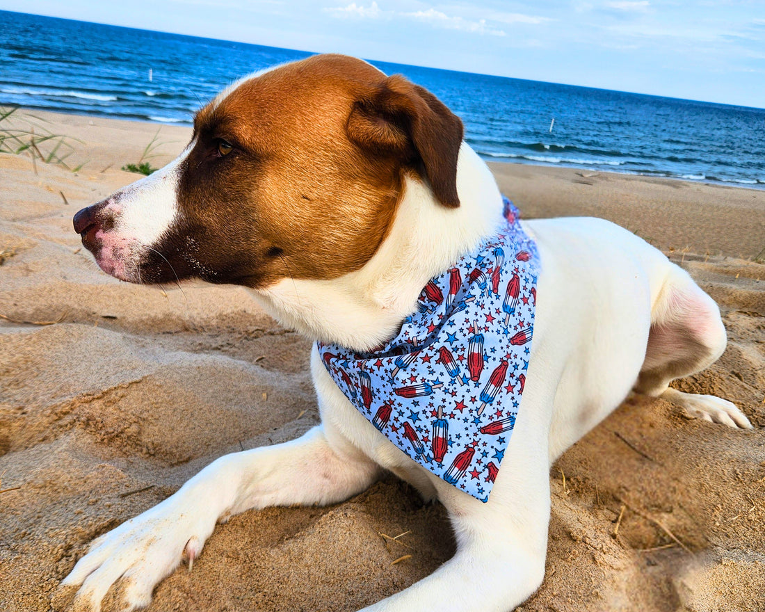 Rocket Pop Pet Bandana