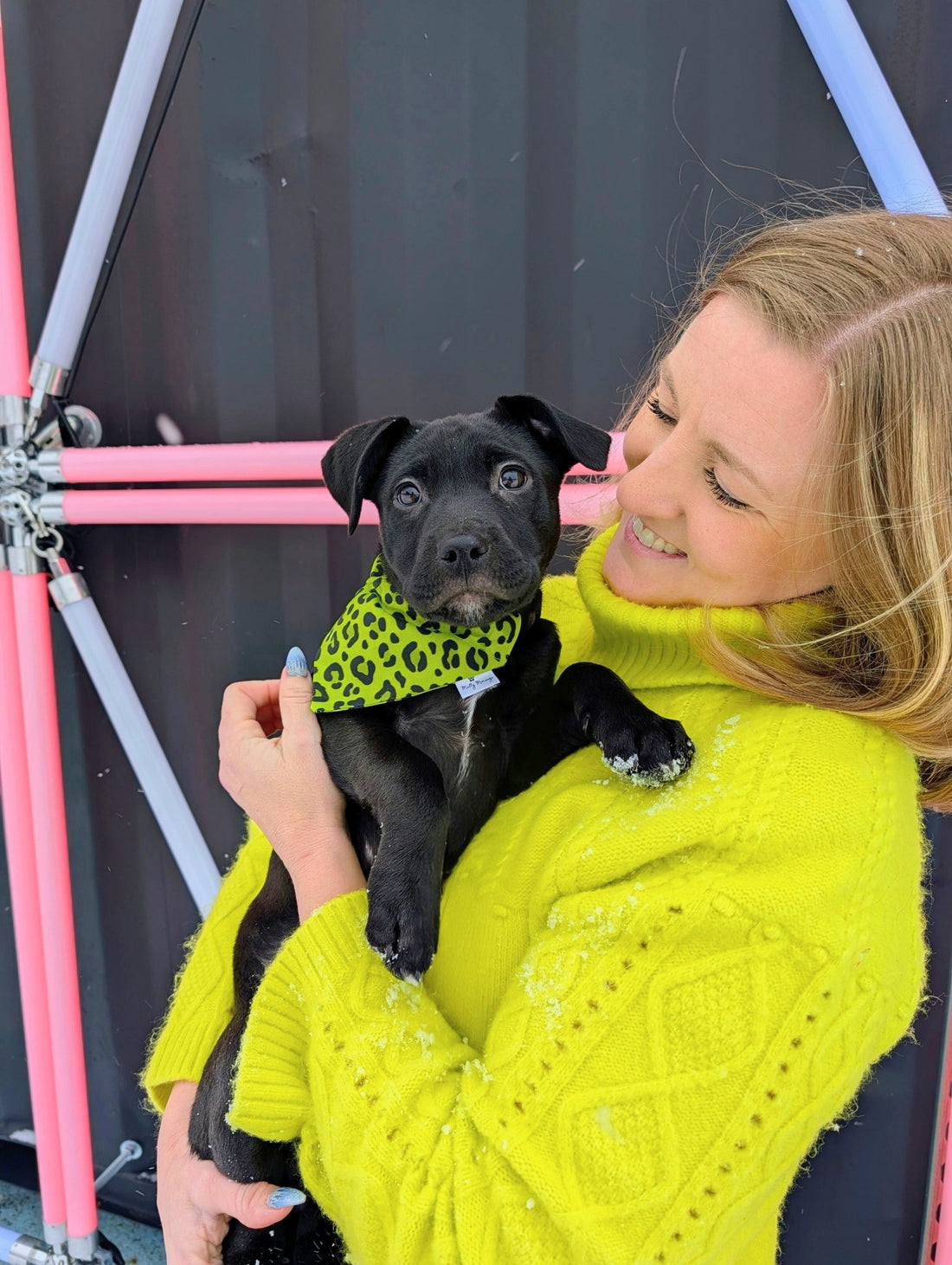 Electric Leopard Pet Bandana - Mutty Mornings