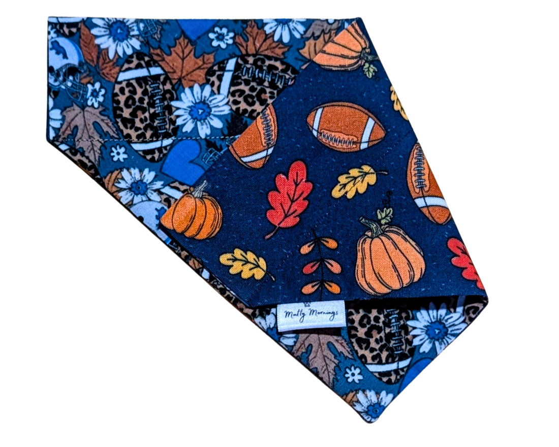 Fall Football Reversible Pet Bandana - Mutty Mornings