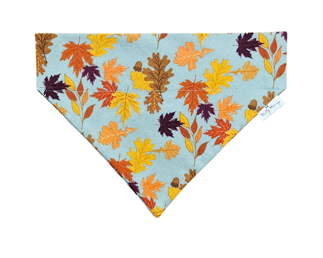 Falling in Love Pet Bandana - Mutty Mornings