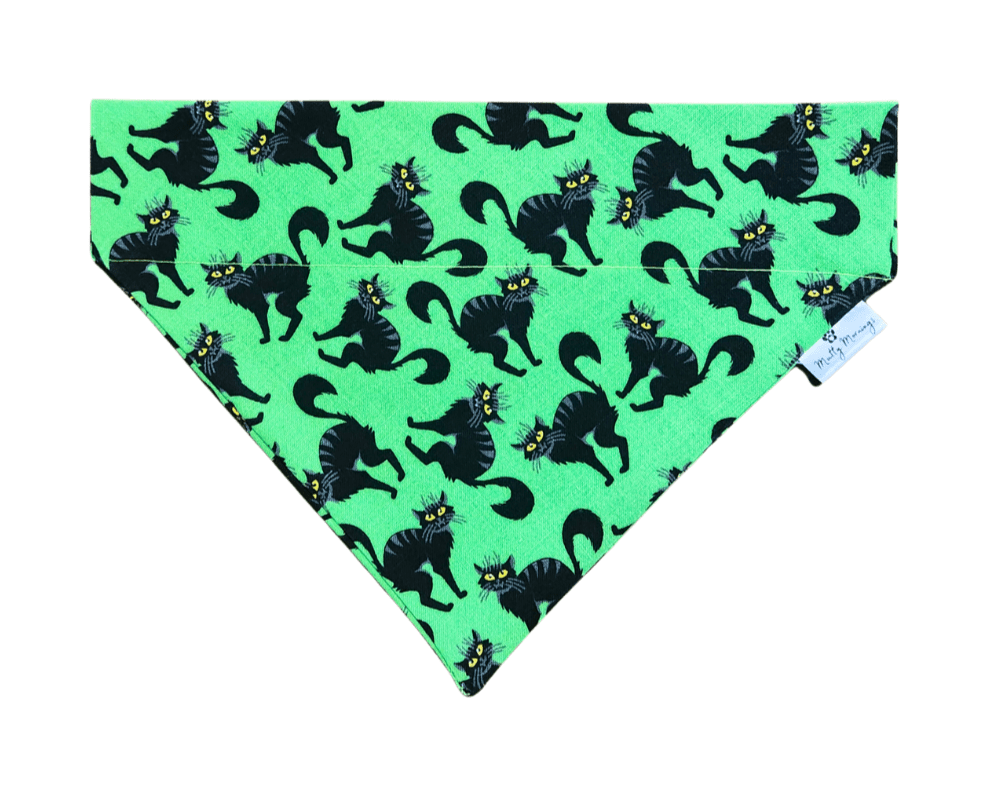 Feline Fright Pet Bandana - Mutty Mornings