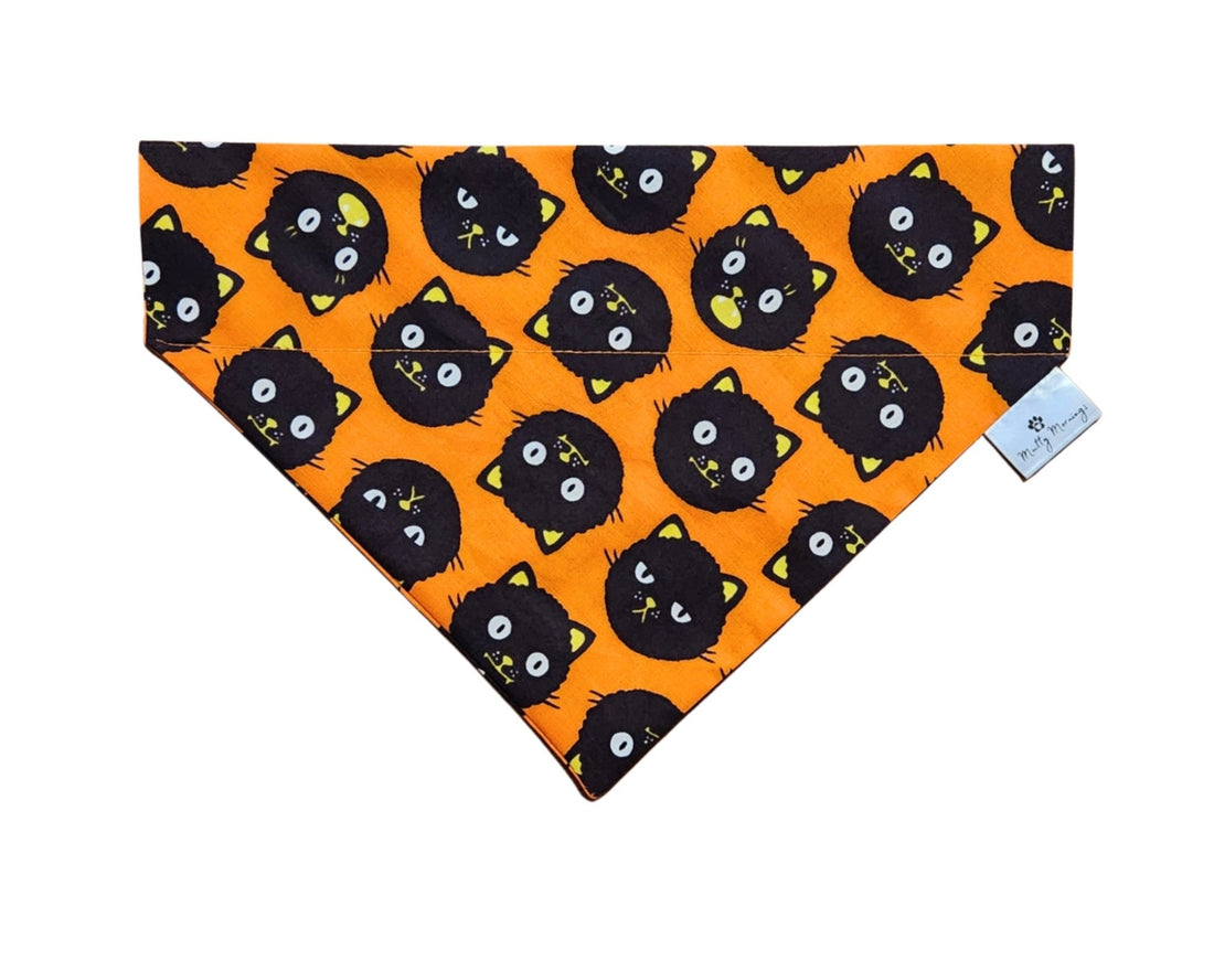 Feline Fright Pet Bandana - Mutty Mornings