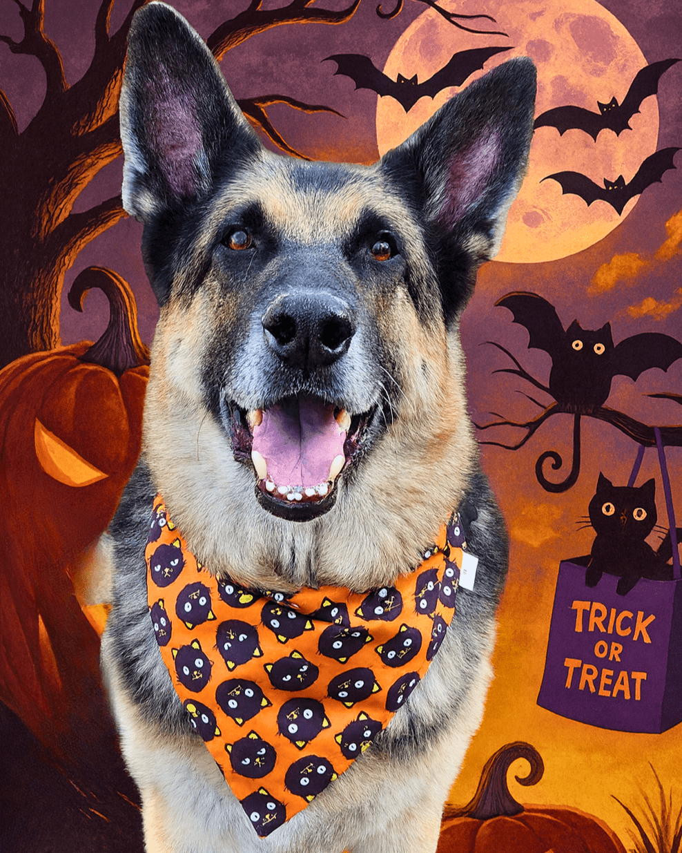 Feral Nights Pet Bandana - Mutty Mornings