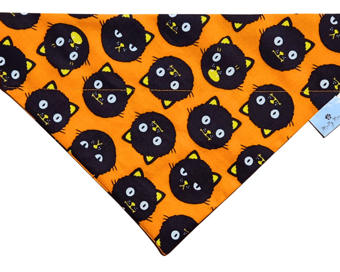 Feral Nights Pet Bandana - Mutty Mornings