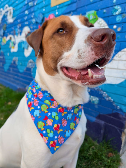 Fin-tastic Fishies Pet Bandana - Mutty Mornings