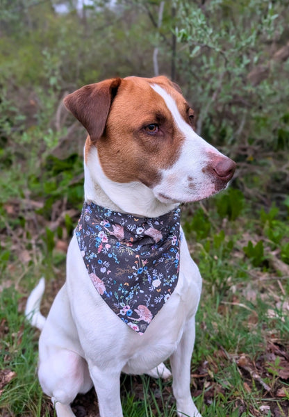 Forest Fairytale Pet Bandana - Mutty Mornings