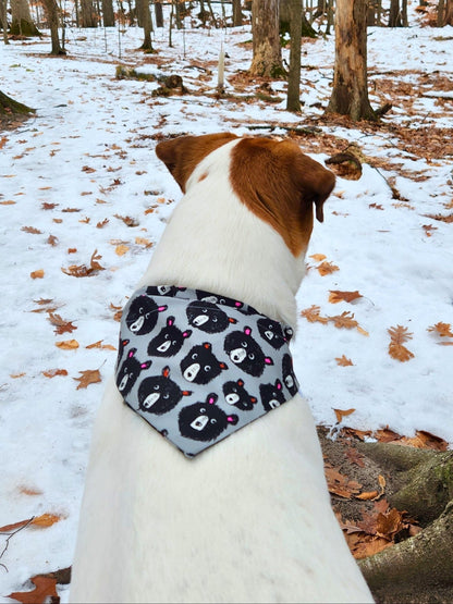 Funky Bear Pet Bandana - Mutty Mornings