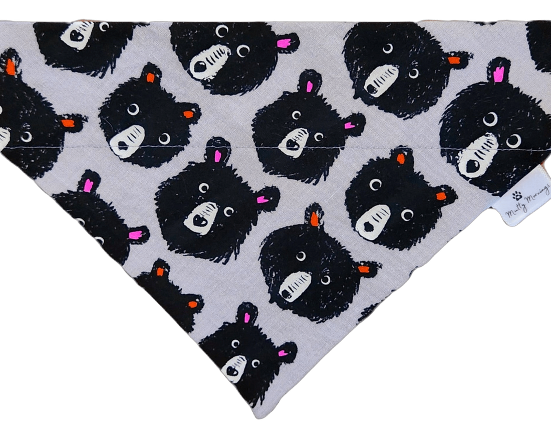 Funky Bear Pet Bandana - Mutty Mornings