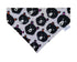 Funky Bear Pet Bandana - Mutty Mornings