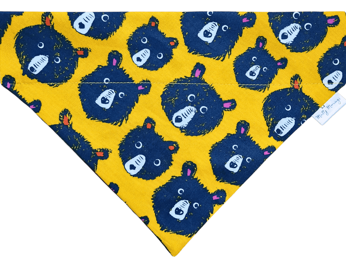 Funky Bear Too Pet Bandana - Mutty Mornings