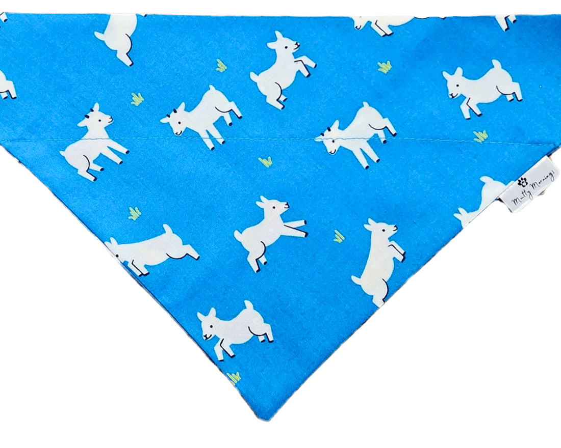 G.O.A.T. Mode Pet Bandana - Mutty Mornings