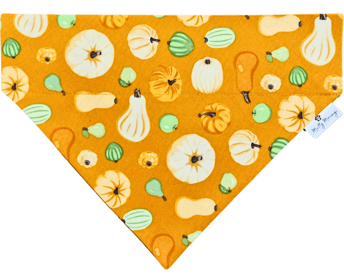 Golden Gourd Pet Bandana - Mutty Mornings