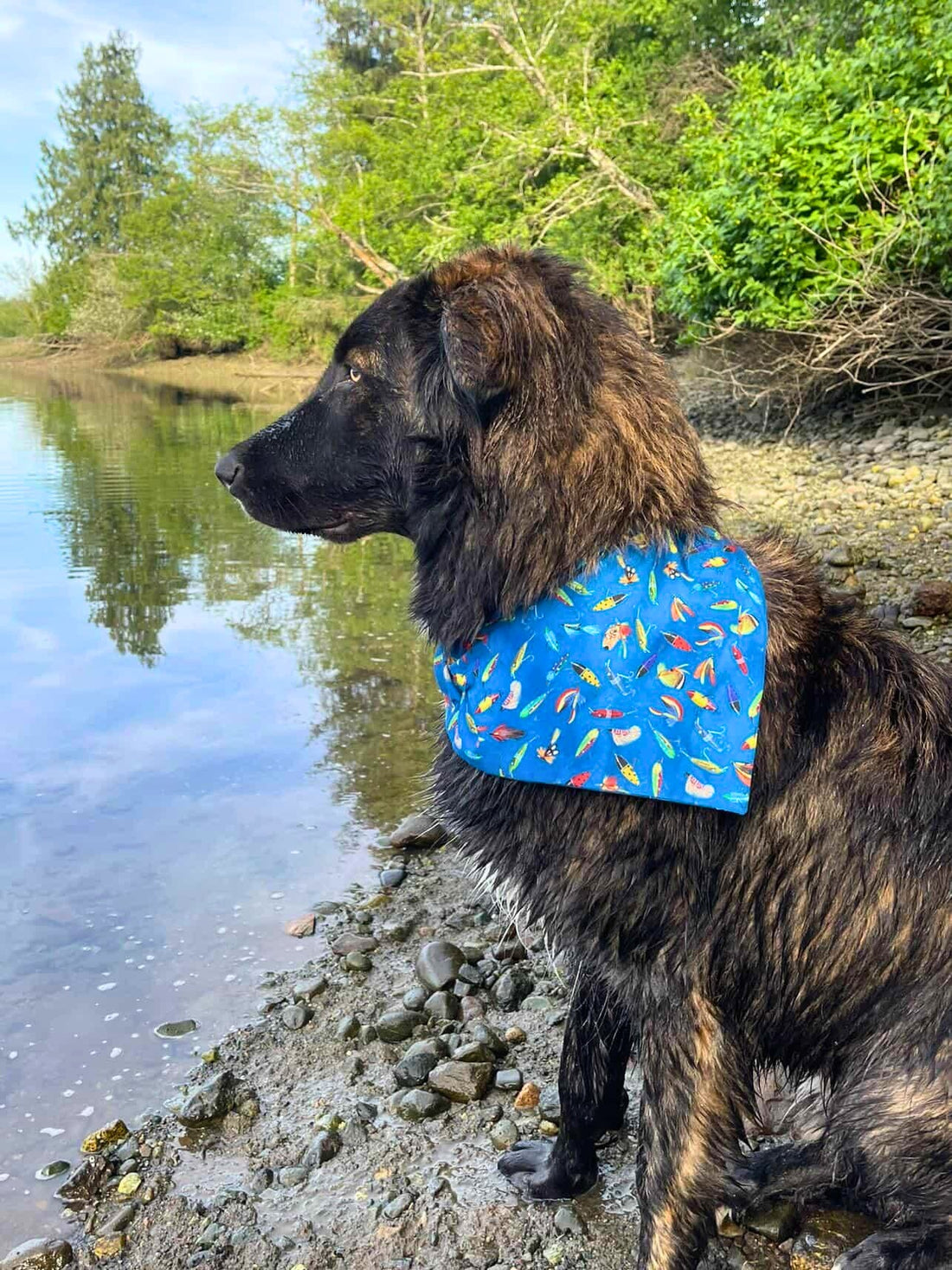 Gone Fishing Pet Bandana - Mutty Mornings
